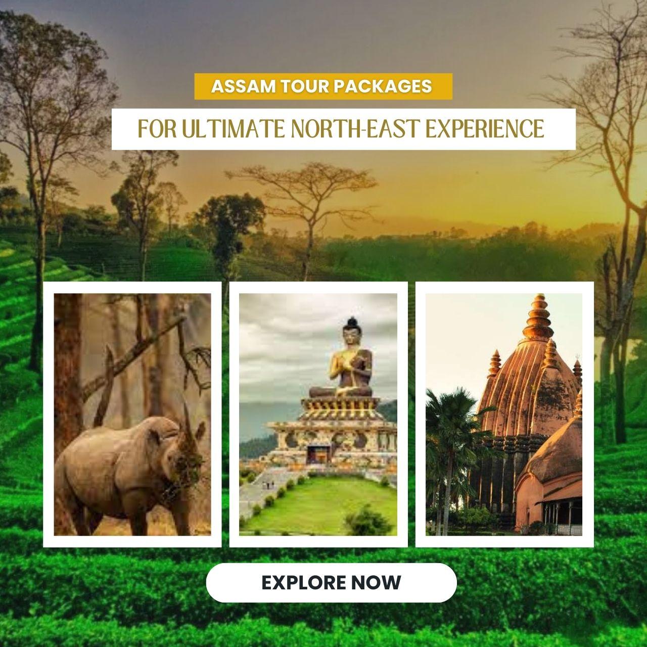 Assam Tour Packages for Ultimate North-East Experience