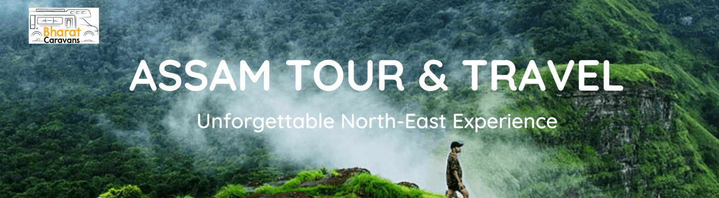 Best Assam Tour Packages for an Unforgettable North-East Experience